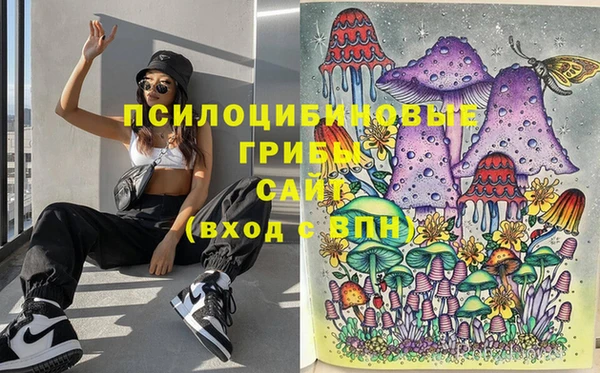 кокс Алексин