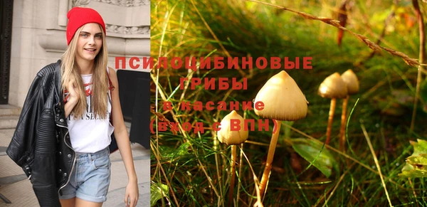 кокс Алексин