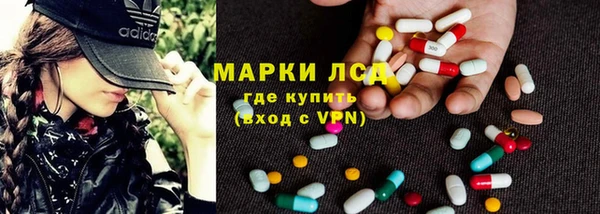 ГАЛЛЮЦИНОГЕННЫЕ ГРИБЫ Алзамай