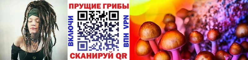 Галлюциногенные грибы мухоморы  наркошоп  Кореновск 